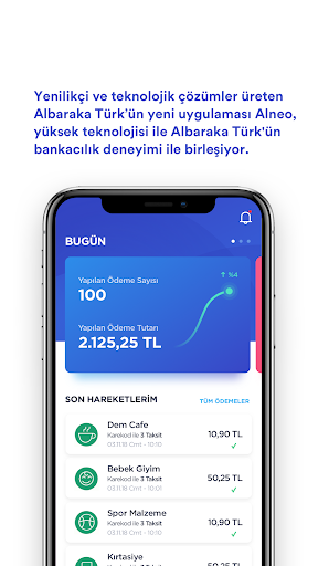 IV Alneo POS ekran görüntüsü