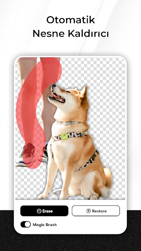 Photo Editor: Arka Plan Silici ekran görüntüsü