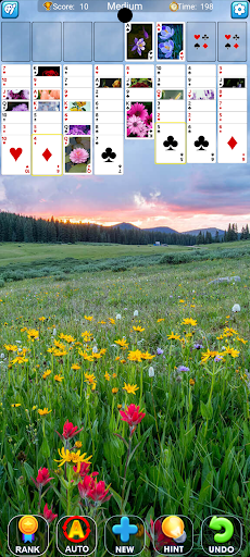 FreeCell Solitaire IO ekran görüntüsü