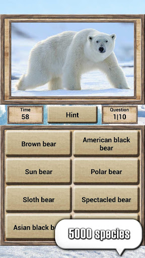 Animal Kingdom - Quiz Game ekran görüntüsü