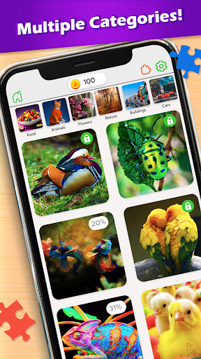 HD Jigsaw Puzzles Sorting Game ekran görüntüsü
