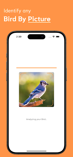 Bird Identifier ekran görüntüsü