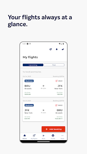 Brussels Airlines ekran görüntüsü
