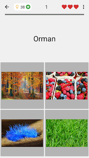 Resimleri tahmin et Bilmeceler ekran görüntüsü