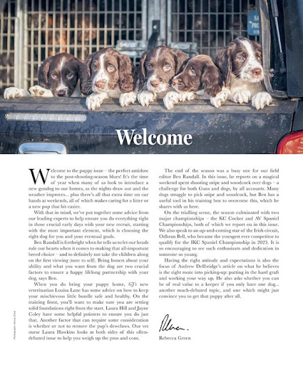 Gundog Journal Magazine ekran görüntüsü
