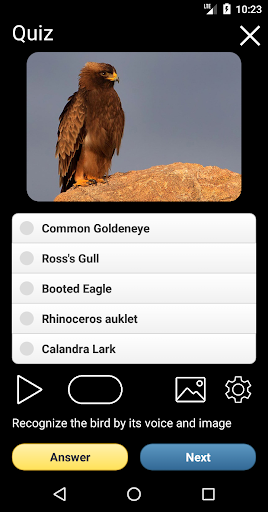 Birds of Russia Songs & Calls ekran görüntüsü