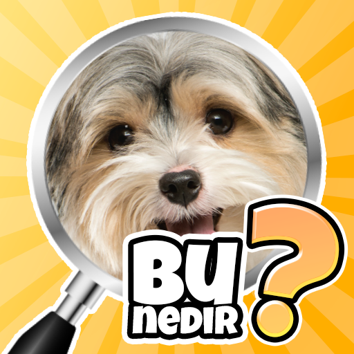 Bu Nedir? Trivia Quiz