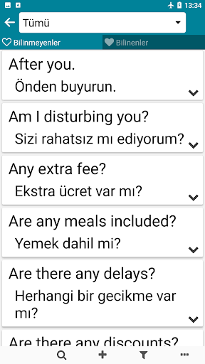 İngilizce - Türkçe ekran görüntüsü