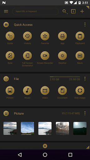 fooViewTheme - Black Golden ekran görüntüsü