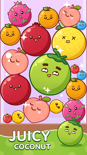 Fruit Drop Master ekran görüntüsü