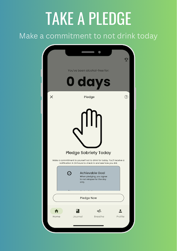Dryjourney - Quit Alcohol ekran görüntüsü