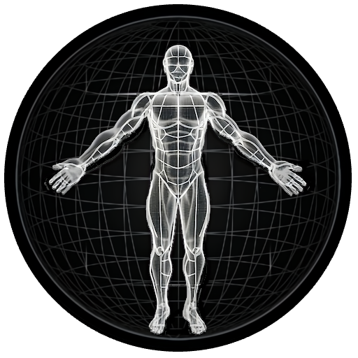 BodBot AI Workout Planner