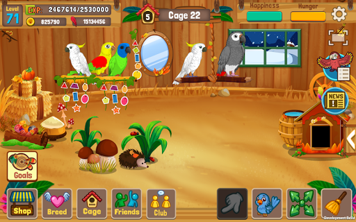 Bird Land: Pet Shop Bird Games ekran görüntüsü