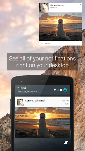 Pushbullet: SMS on PC and more ekran görüntüsü