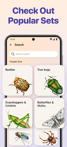 Bug ID - Insect Identifier ekran görüntüsü