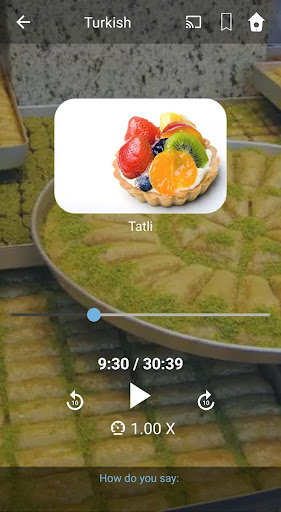 Learn Turkish. Speak Turkish.  ekran görüntüsü
