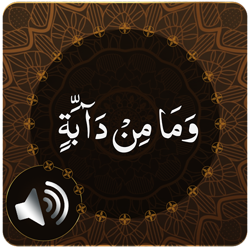 Para 12 Audio