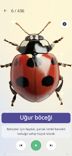 Çocuk Quiz ekran görüntüsü
