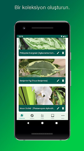 PlantSnap ekran görüntüsü