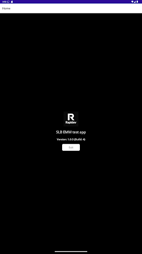 Rapidev ekran görüntüsü