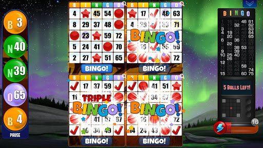 Absolute Bingo ekran görüntüsü