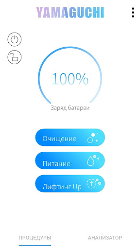 Yamaguchi Skin Test ekran görüntüsü