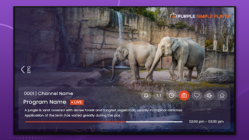 Purple Simple - IPTV Player ekran görüntüsü