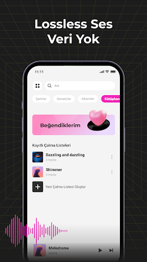 Audio Insight-Çevrimdışı Müzik ekran görüntüsü