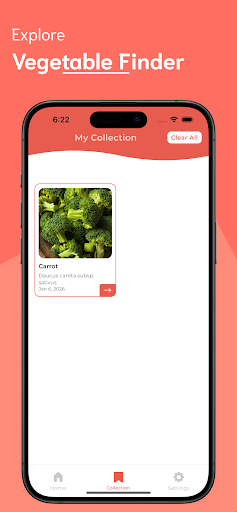 Vegetable Identifier ekran görüntüsü