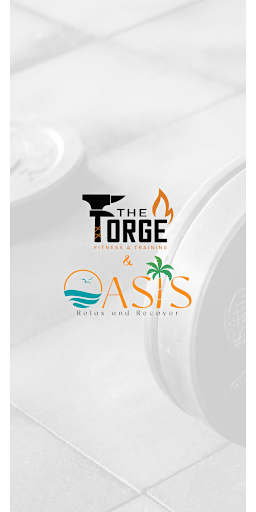 The Forge and Oasis ekran görüntüsü