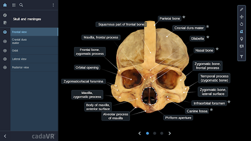 cadaVR anatomy ekran görüntüsü