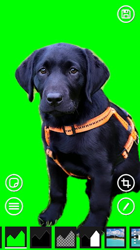 AI Green Screen ekran görüntüsü