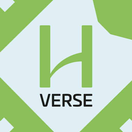 H-Verse Spectator View