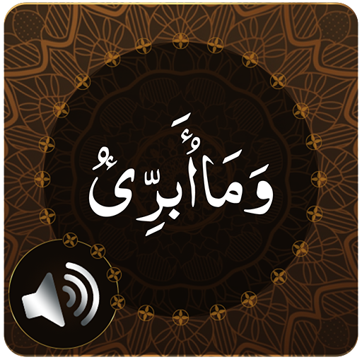 Para 13 Audio