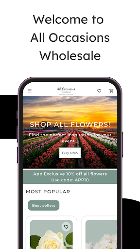 All Occasions Wholesale ekran görüntüsü