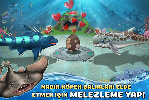 Shark World ekran görüntüsü