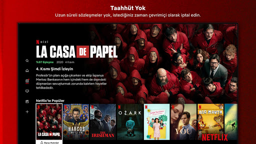 Netflix ekran görüntüsü