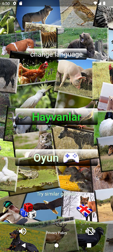 Hayvan sesleri testi ekran görüntüsü