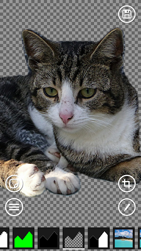 AI Green Screen ekran görüntüsü