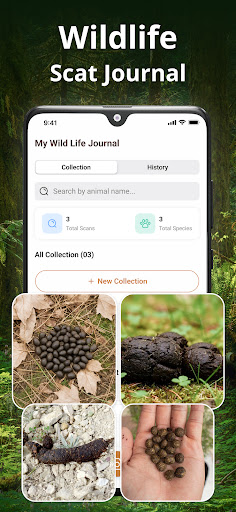 Animal Scat Identifier Poop ID ekran görüntüsü