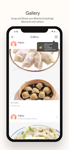 IPanda Dumplings ekran görüntüsü