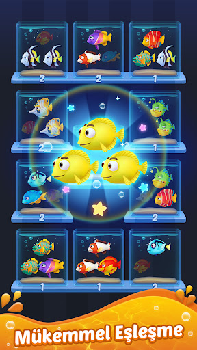 Balık Ayıklama 3D-Match Puzzle ekran görüntüsü