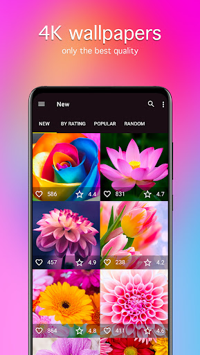 Flower Wallpapers 4K ekran görüntüsü