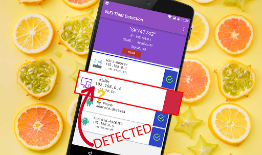 WiFi hırsız dedektörü ekran görüntüsü