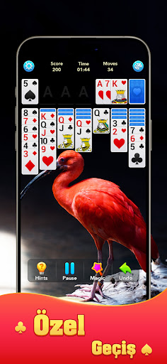 Kart Oyunu- Solitaire Klondike ekran görüntüsü