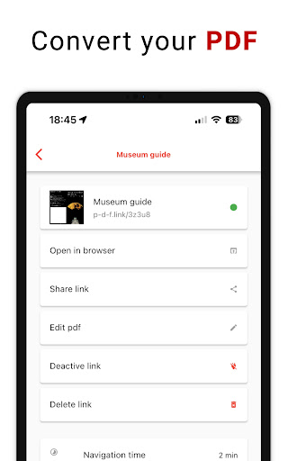 P-D-F Link ekran görüntüsü