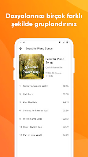 Basit Müzik Çalar ekran görüntüsü