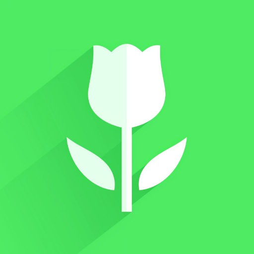 Plantoo: AI Bakım ve Tanımlama