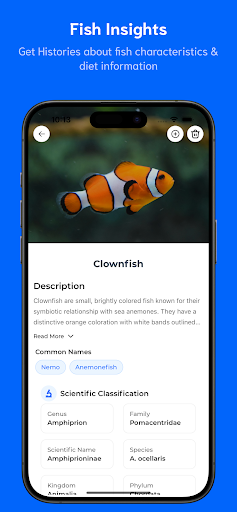 Fish Identifier ekran görüntüsü
