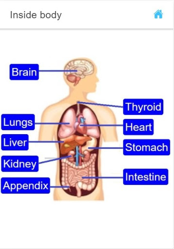 kids human body parts learning ekran görüntüsü